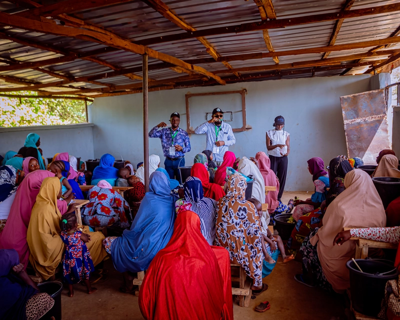 LMI Community Impact